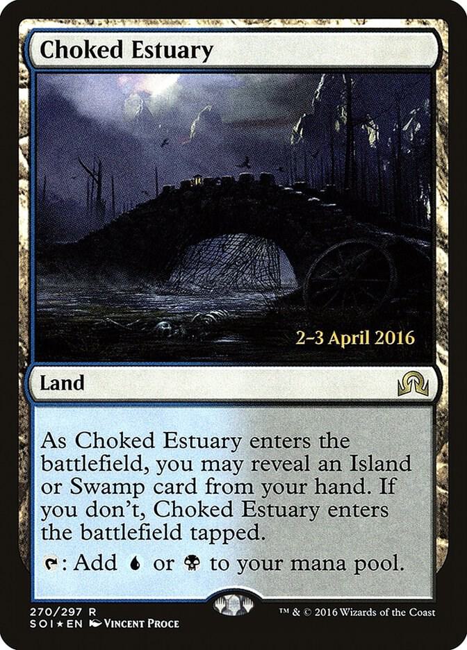 Image for Choked Estuary