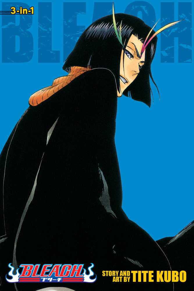 Bleach (3-In-1 Edition) Volume 13