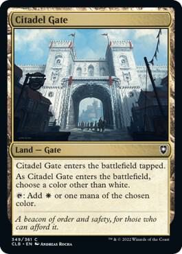 Image for Citadel Gate