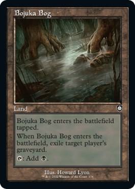 Image for Bojuka Bog