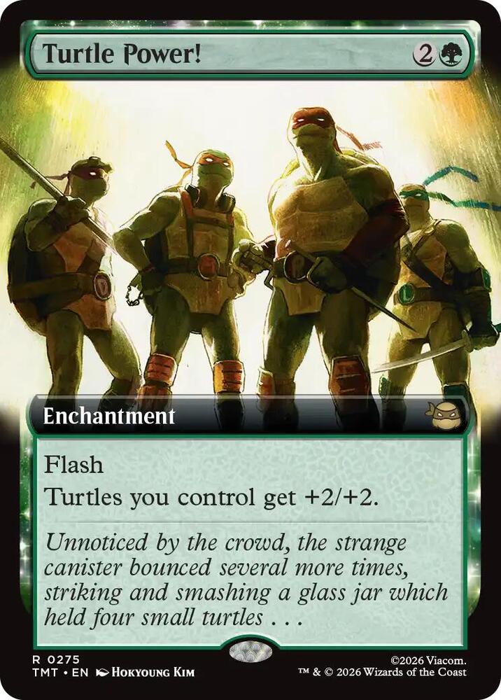 Image for Turtle Power!