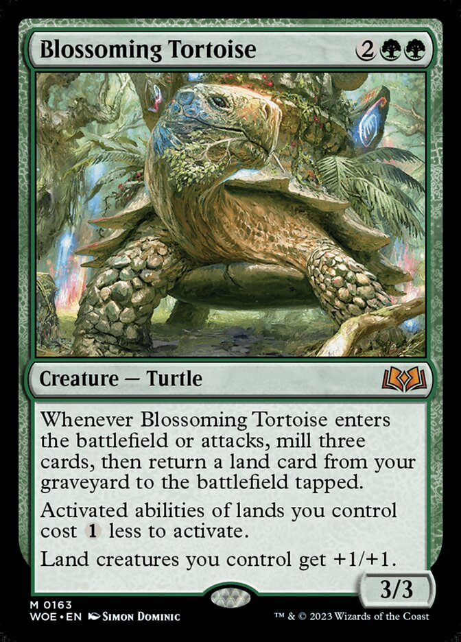 Image for Blossoming Tortoise