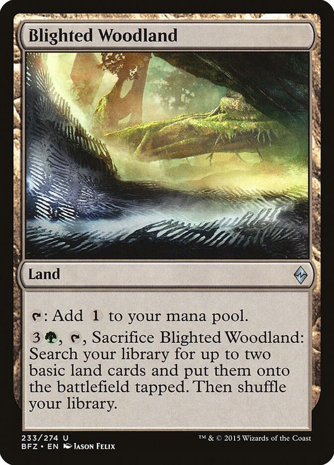 Image for Blighted Woodland