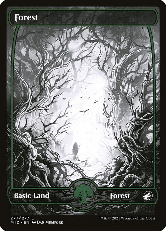 Forest (Innistrad: Midnight Hunt) [Showcase]