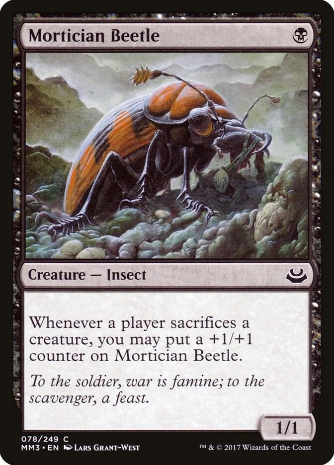 Image for Mortician Beetle