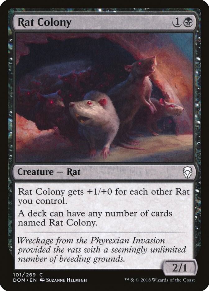 Image for Rat Colony