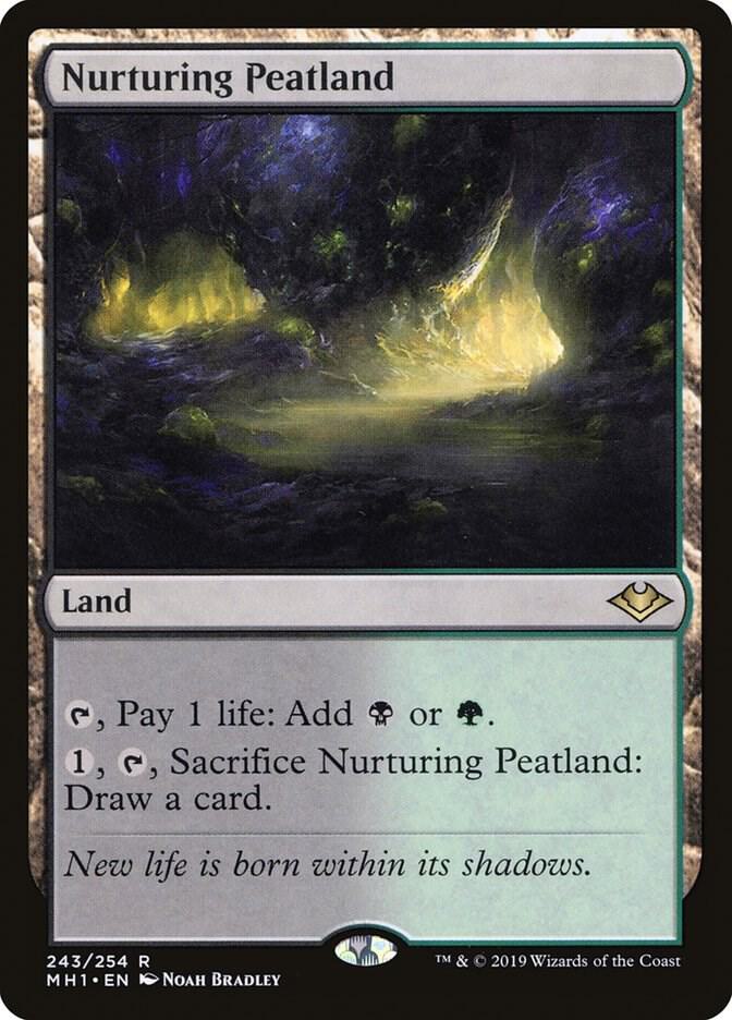 Image for Nurturing Peatland