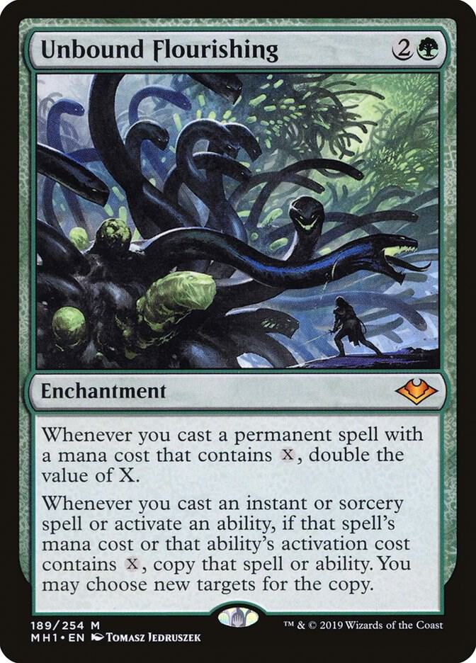 Image for Unbound Flourishing