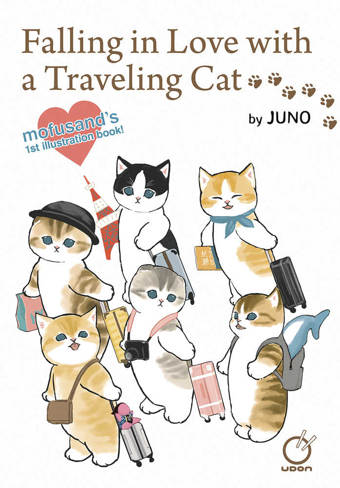 Falling In Love With A Traveling Cat