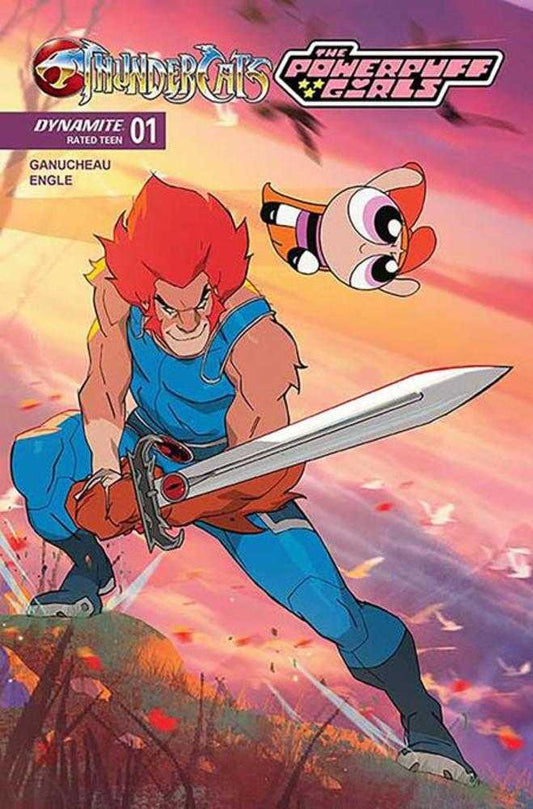 Thundercats / Powerpuff Girls #1 (Cover C Coran Kizer Stone)