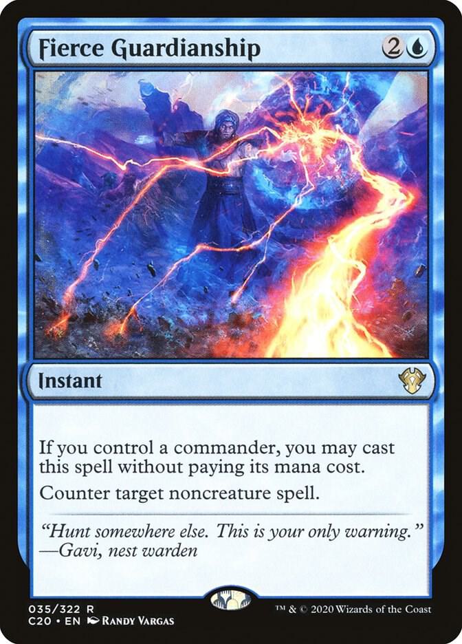 Image for Fierce Guardianship