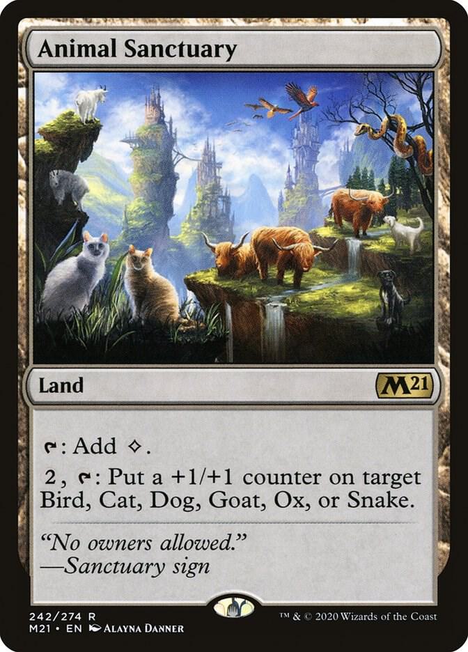 Image for Animal Sanctuary