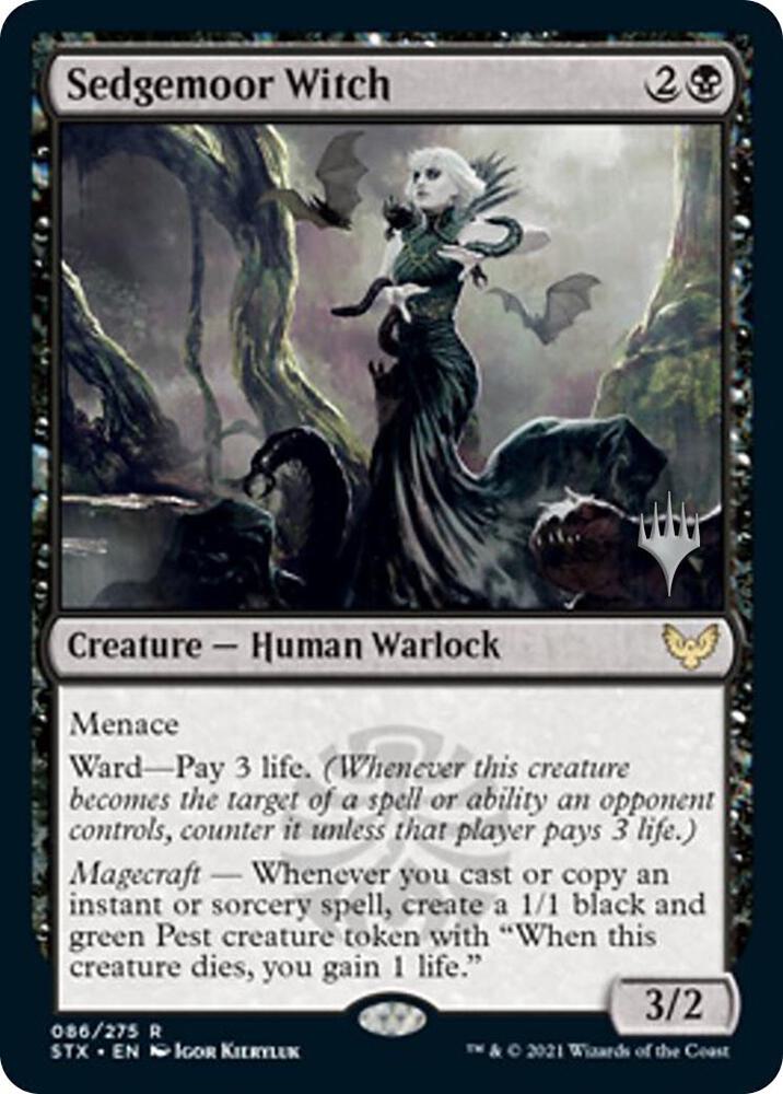Image for Sedgemoor Witch