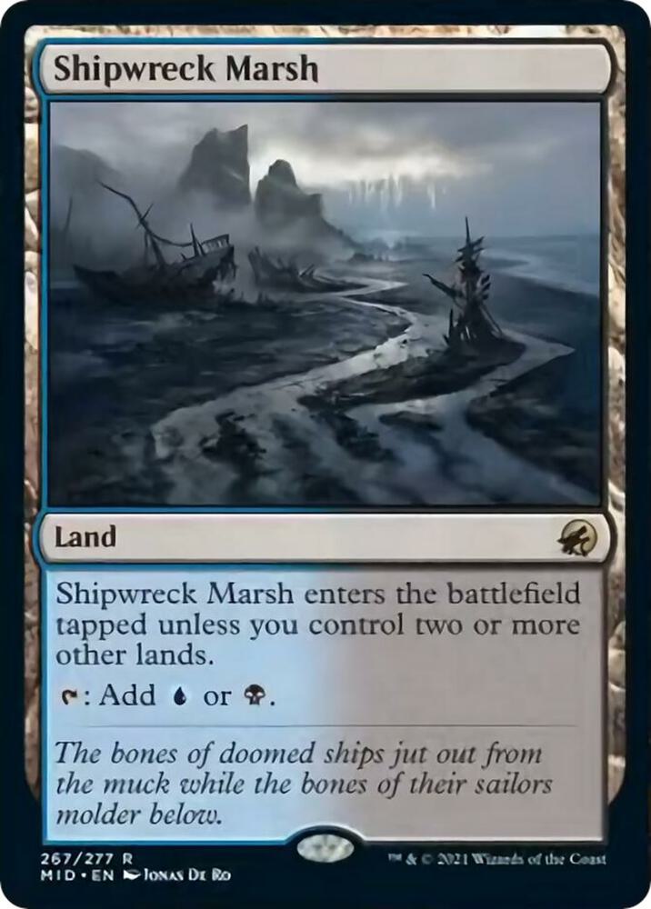 Image for Shipwreck Marsh