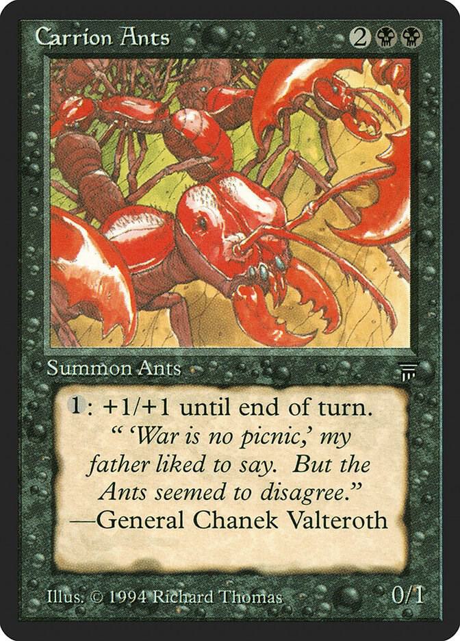 Image for Carrion Ants