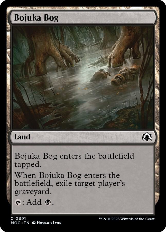 Image for Bojuka Bog