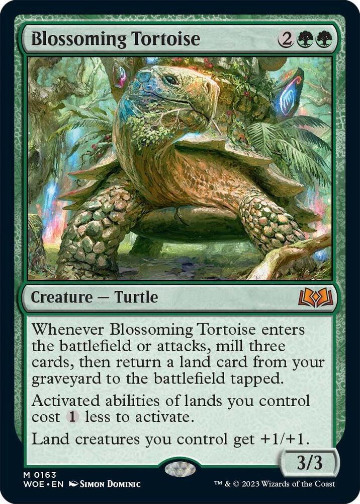 Image for Blossoming Tortoise
