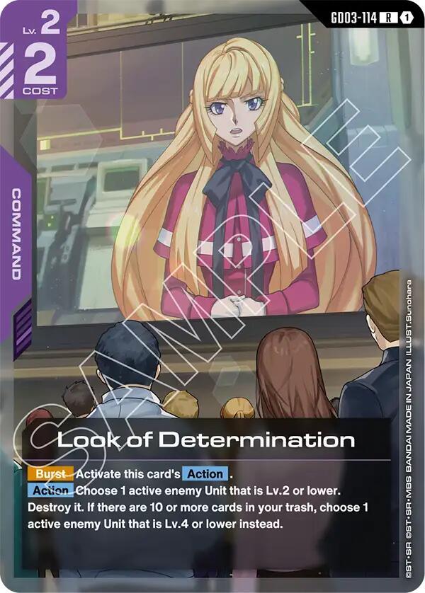 Image for Look of Determination