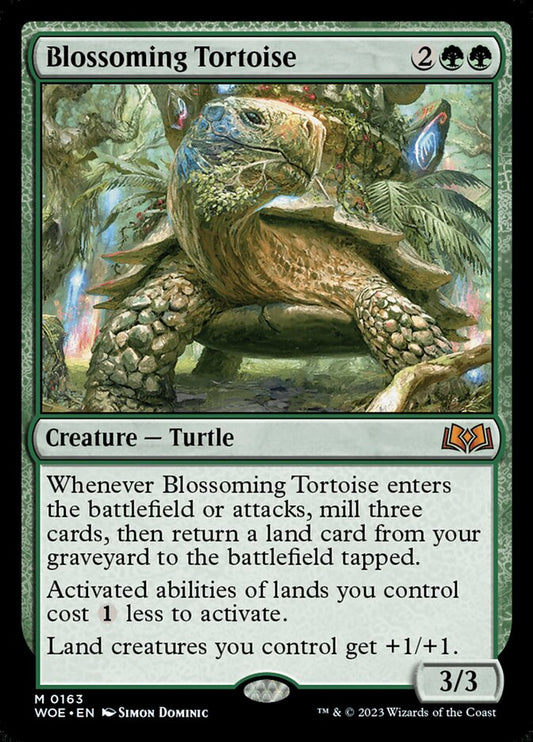 Image for Blossoming Tortoise
