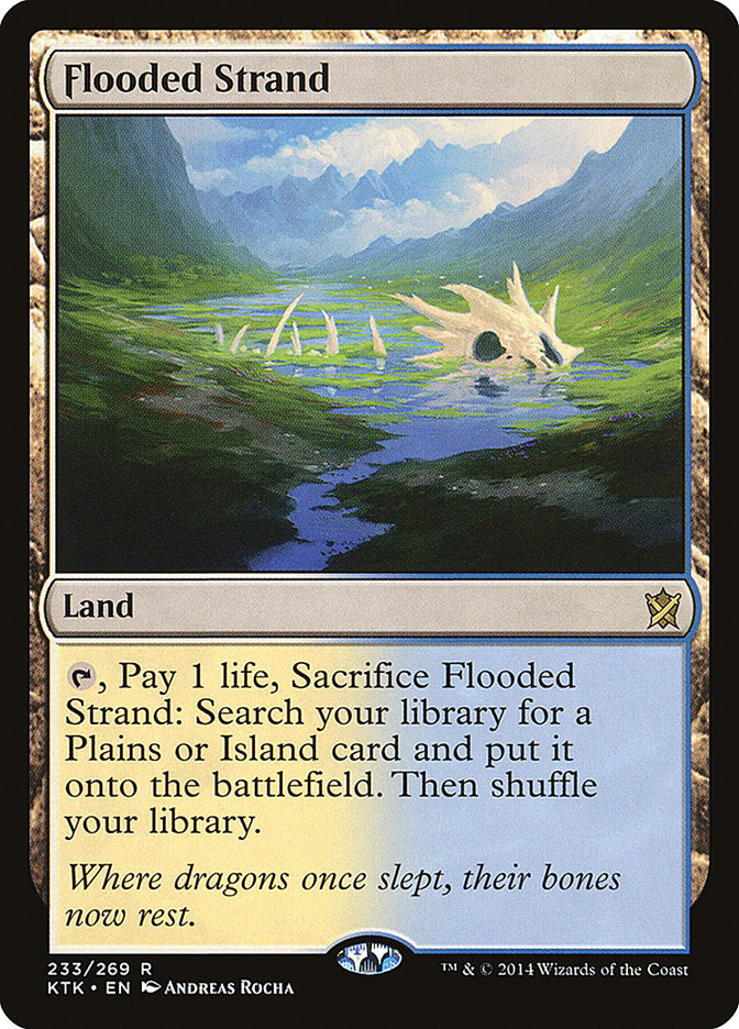 Image for Flooded Strand