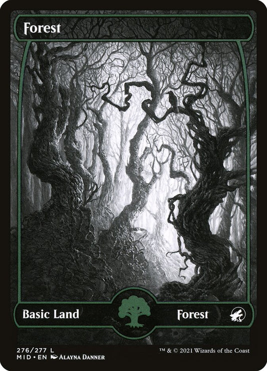 Forest (Innistrad: Midnight Hunt) [Showcase]