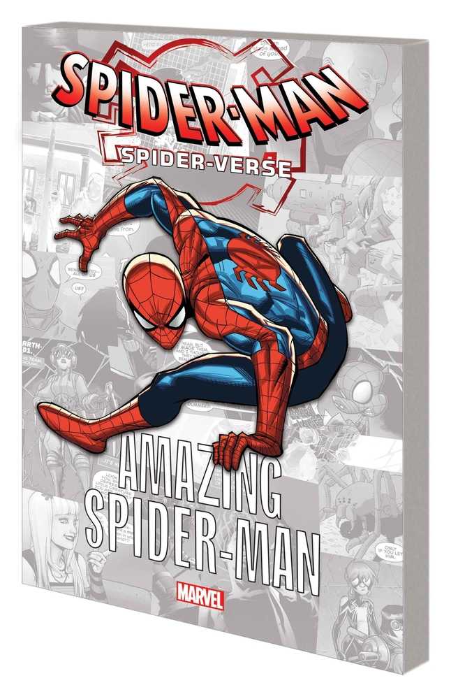 Spider-man: Spider-Verse - Amazing Spider-Man