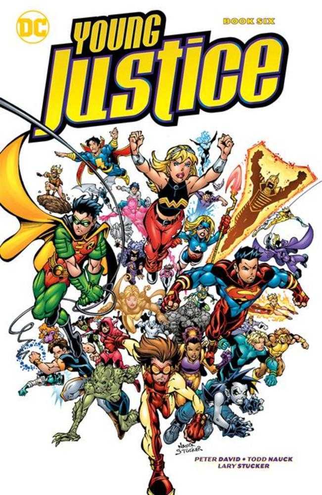Young Justice Book 06