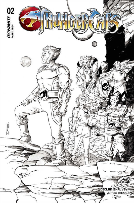 Thundercats [2024] #02 (Cover E) (1:15 Line Art incentive)
